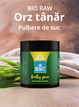 BIO RAW ORZ VERDE | BEWIT.love