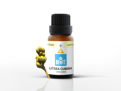 BEWIT LITSEA CUBEBA