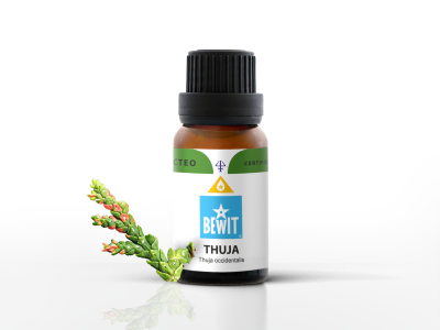 Olio essenziale di Thuja