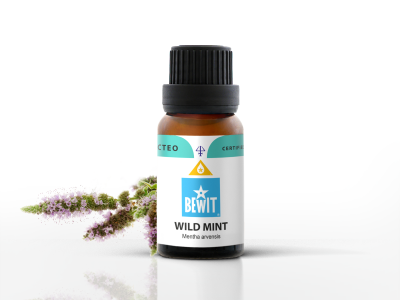 Wild mint Essential Oil | BEWIT.love