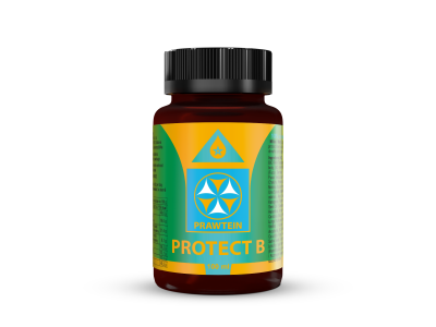 BEWIT® PRAWTEIN® PROTECT B