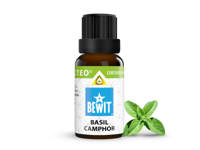 Camphor basil