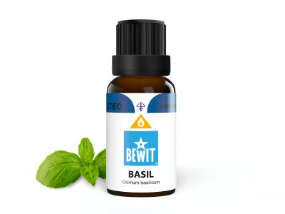 Basil