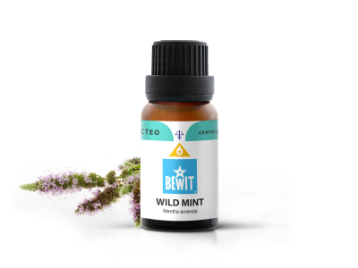 Wild mint Essential Oil | BEWIT.love