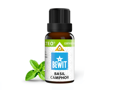 Camphor basil