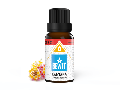 Essential Oil BEWIT Lantana camara |  Essential OilBEWIT.love